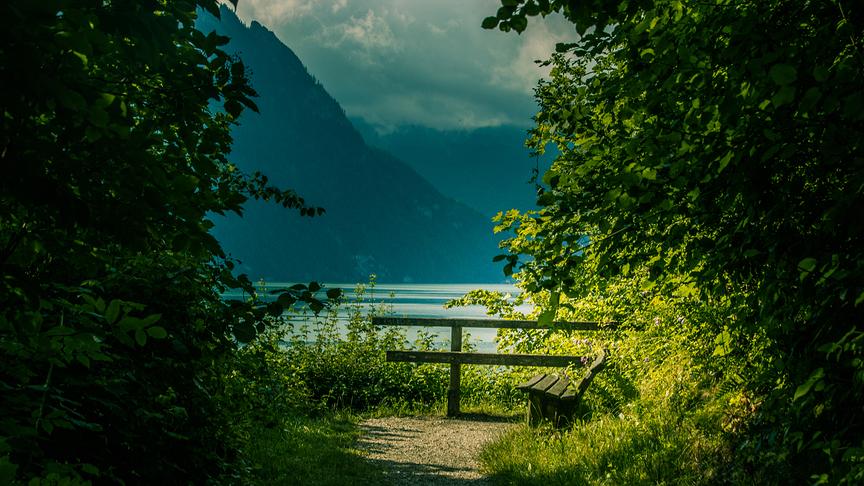 © Nicole Stöger Ein Platzerl zum verweilen, innehalten und träumen (Traunkirchen). (Nicole Stöger)