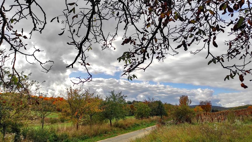 © Gerti Portisch Sonnenfenster im Wolkengrau/Poysdorf (Gerti Portisch)