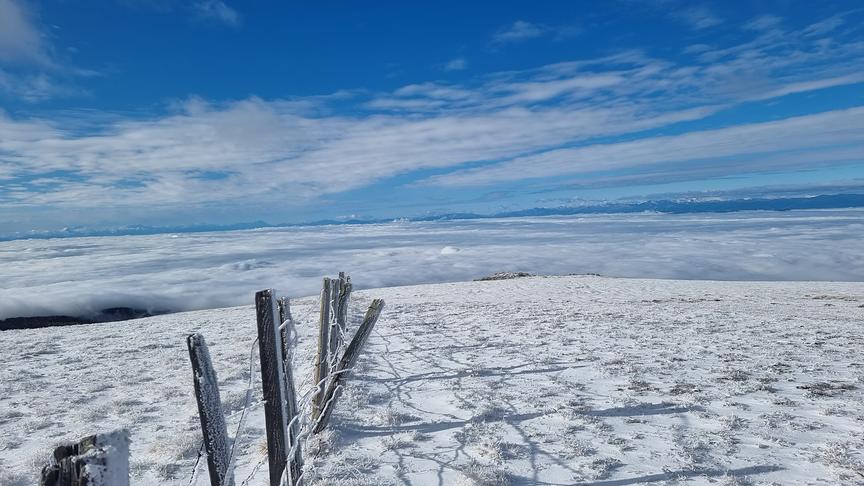 © Marion Sunitsch Der Gertrusk, Höhe 2044 m, unten das Nebelmeer und am Berg der erste Schnee bei Sonnenschein. (Marion Sunitsch)