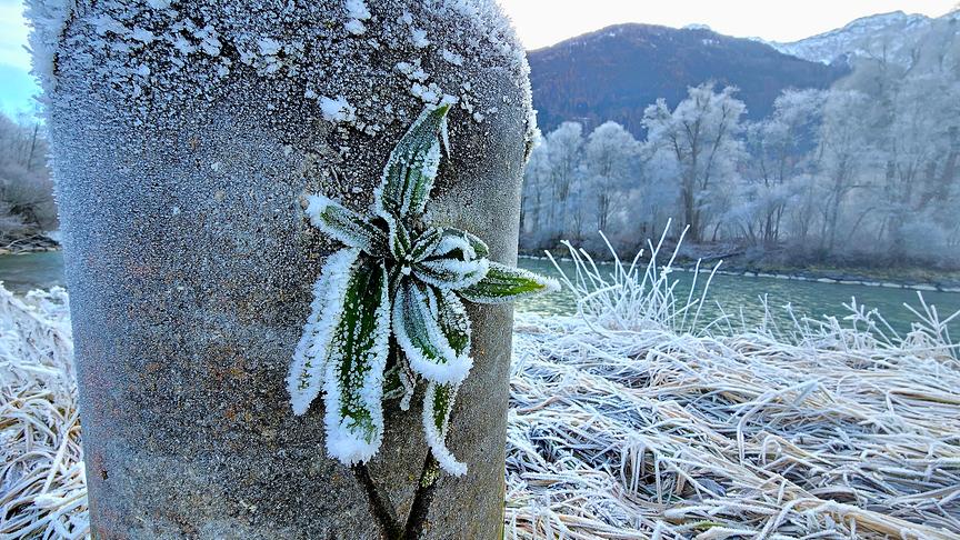 "Eisblume", Dellach im Drautal. (Petra Irk)