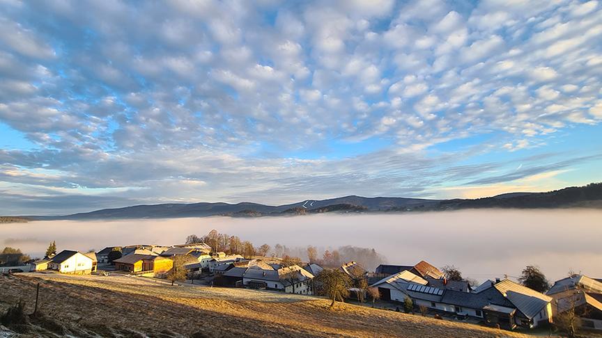 Julbach versunken im Nebel (Helga Grimps).