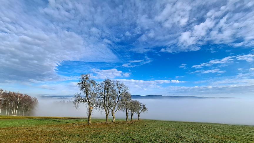 Der Nebel lichtet sich in St. Ägidi im Innviertel. (Andrea Weidlinger)