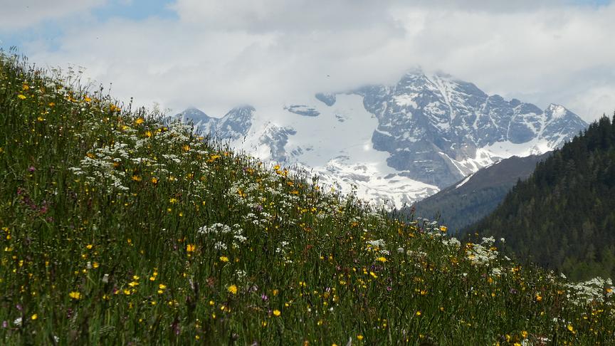 © Ferdinand Mader Willkommen in ÖSTERREICH (Ferdinand Mader)