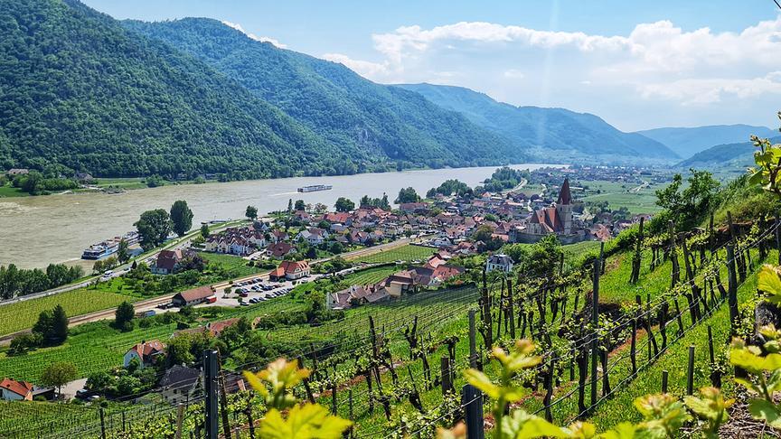 © Rita Reither Welterbesteig, Weißenkirchen. (Rita Reither)