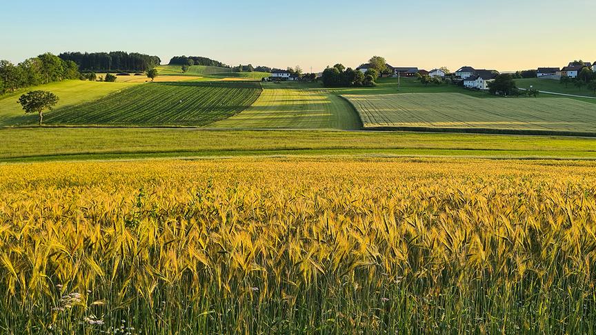 © Helga Grimps Abendstimmung über Vorderschiffl. (Helga Grimps)