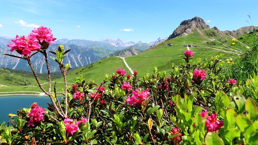 © Hans Ter Braak Auf 2000m am Kanzelwand in Riezlern im Kleinwalsertal. (Hans Ter Braak)