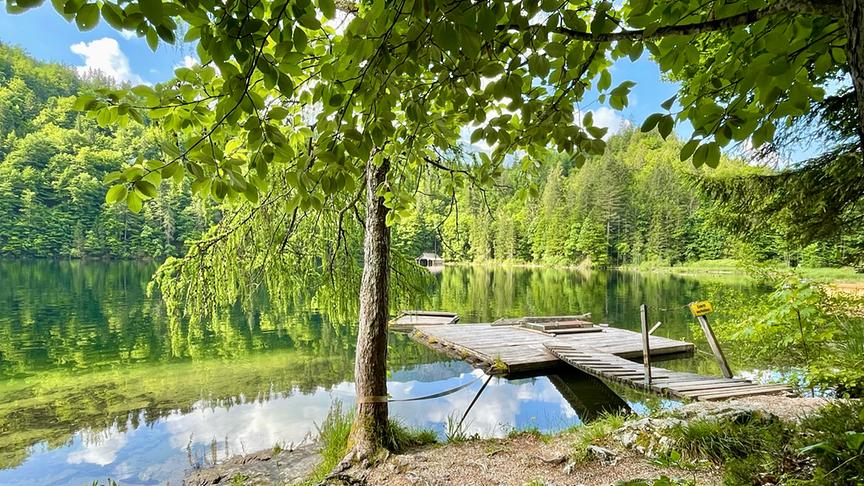 © Michael Magnus Wagner Toplitzsee im Salzkammergut an einem wunderschönen Vormittag. (Michael Magnus Wagner)