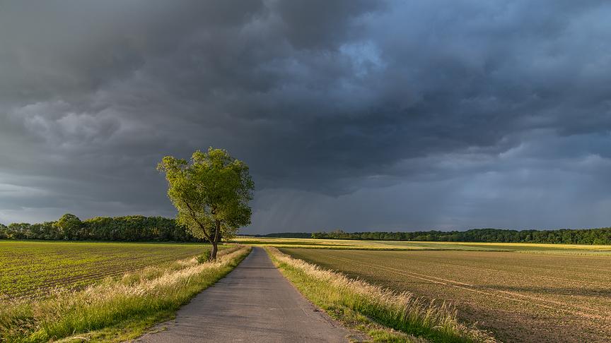© Peter Karall Gewitterwolken im Burgenland. (Peter Karall)