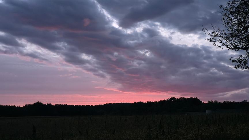 Abendstimmung mit Silhouette von Bäumen vor rotem Abendhimmel