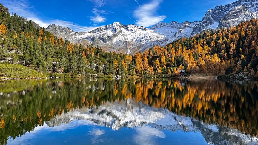 © Maria Harlander Reedsee in Bad Gastein, goldener Herbst (Maria Harlander)