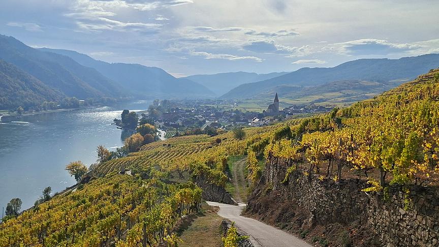 Aufnahme vom Weinweg Achleiten bei Weissenkirchen in der Wachau. (Ulrike Scherer)