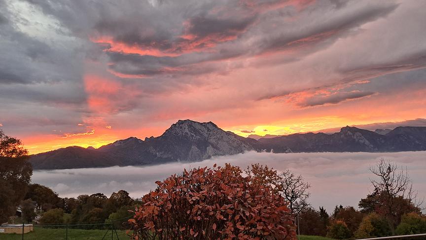 Traunstein mit Traunsee im Nebel, vom Gmundnerberg. (Hildegard Thürriedl)