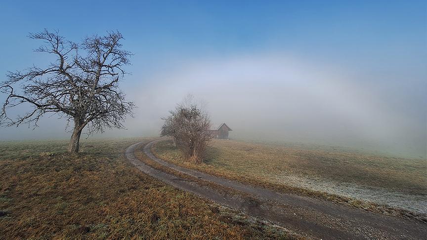 Nebelbogen in Köstenberg. (Wolfgang Ebner)