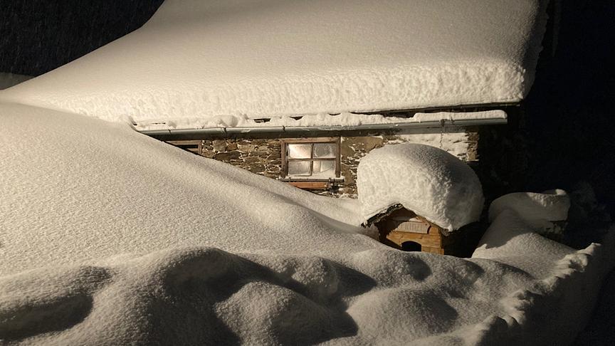 © Melanie Lichtenegger Schneemengen in Theissenegg im Lavanttal heute früh. Der Hund kommt nicht mehr in die Hütte. (Melanie Lichtenegger)