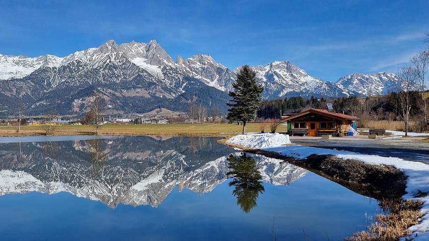 © Georg Ackerer Herrliche Teichspiegelung in Saalfelden, als Skyline dient das Steinerne Meer. (Georg Ackerer)