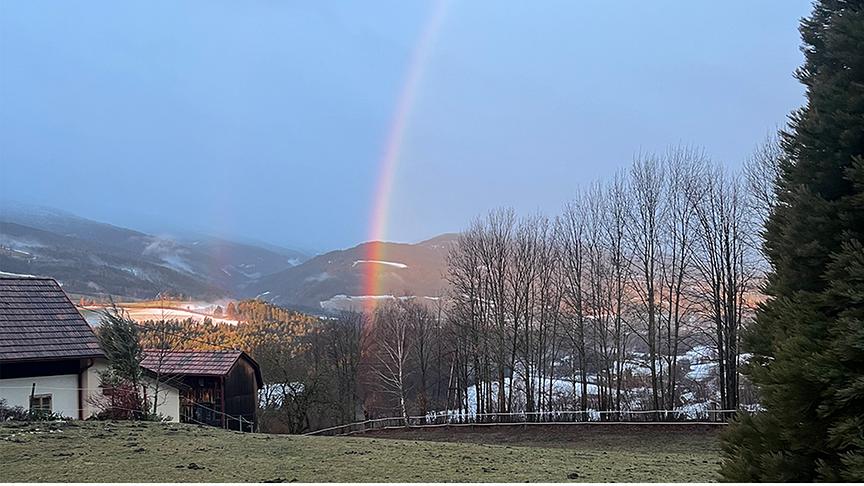 Regenbogen über Hügeln und Bäumen und ansonsten grauem Wetter