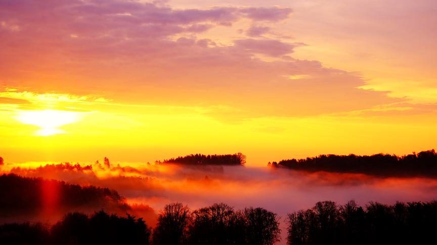 © Karl Zettelbauer Guten Morgen. (Karl Zettelbauer)