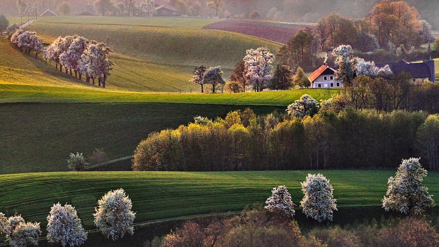 © Peter Grill Heute um 7 20h in Wolfsegg eine schöne Frühlingslandschaft! (Peter Grill)