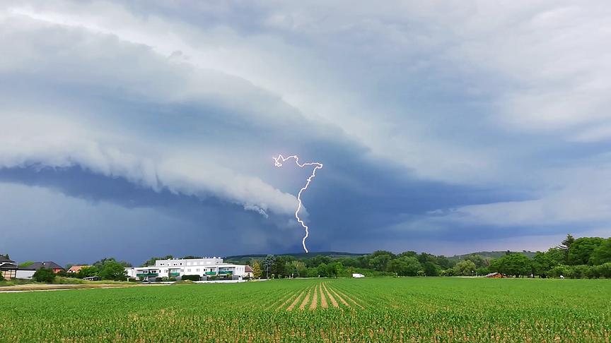 © Höchtl Hubert Gewitter über Heiligenstein. Weinviertel. (Höchtl Hubert)