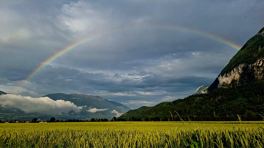 © Erna Linder Regenbogen nach Durchzug einer Gewitterfront mit Starkregen und teilweise Hagel über Lienz. (Erna Linder)