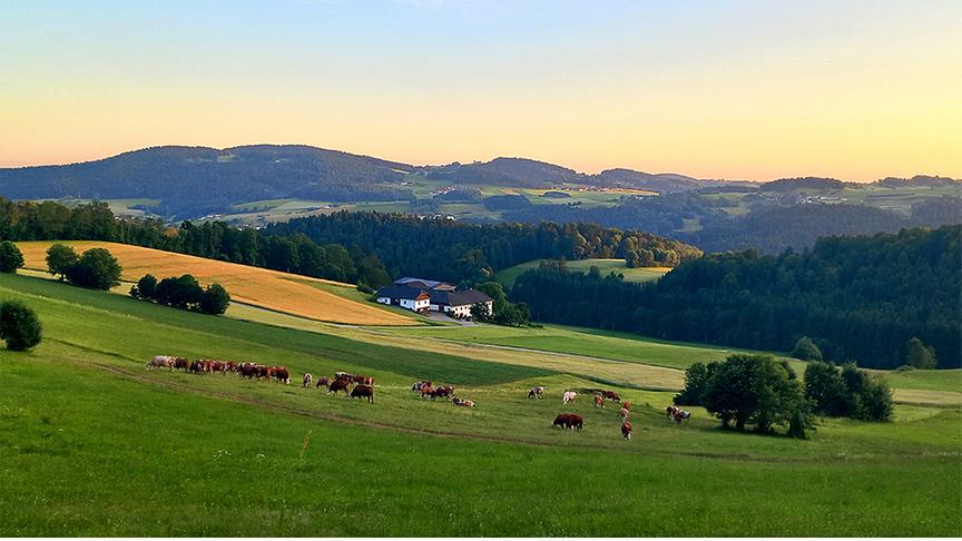 © Sabine Lauß Traumhaftes Sommerwetter im Mühlviertel (Sabine Lauß)