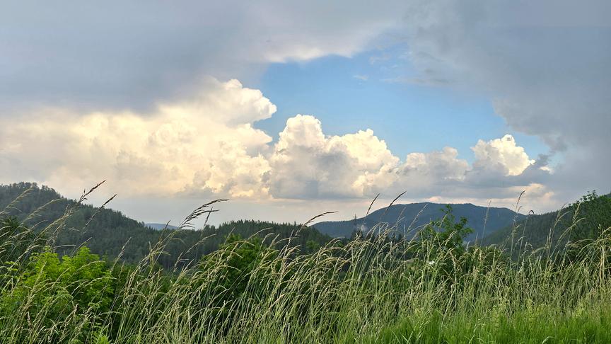 Ein weites Landschaftsfoto zeigt eine Wiese mit hohem Gras im Vordergrund, die vor einer Kulisse aus bewaldeten Hügeln und einem dramatischen Himmel liegt.