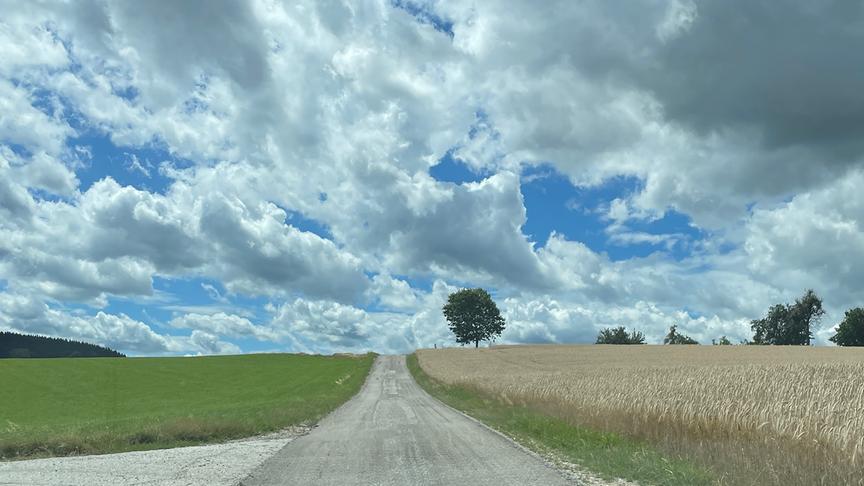 © Ingrid Wagner Jede Menge Wolken über dem Getreidefeld (Ingrid Wagner)