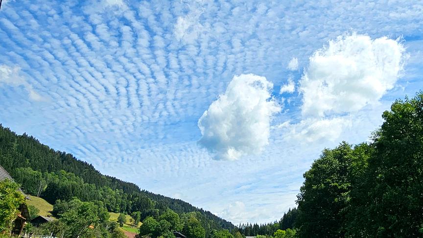 Wellenartige, parallele Wolken ziehen sich über bewaldeter, leicht hügeliger Landschaft über den gesamten blauen Himmel.