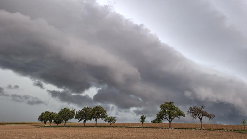 Wolkenwalze über Felder und Bäumen.