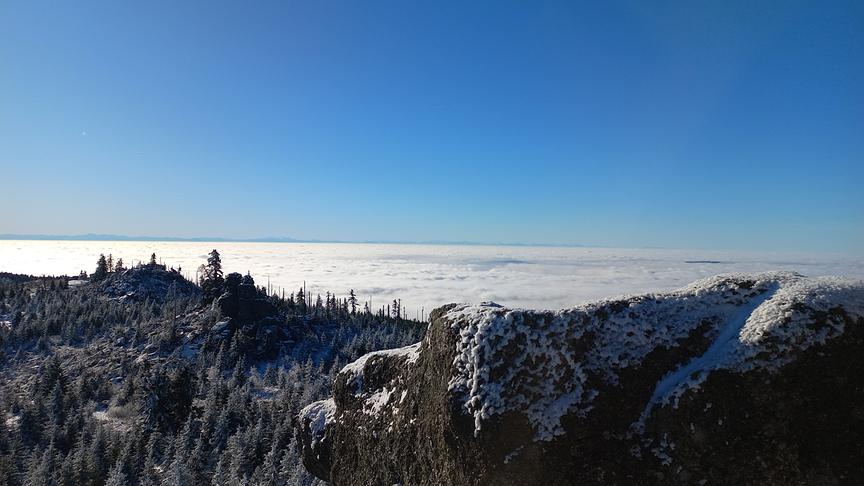Blitzblau über 1000 m Seehöhe beim Dreisessel / Bereich Dreiländereck (Alois Ganser)