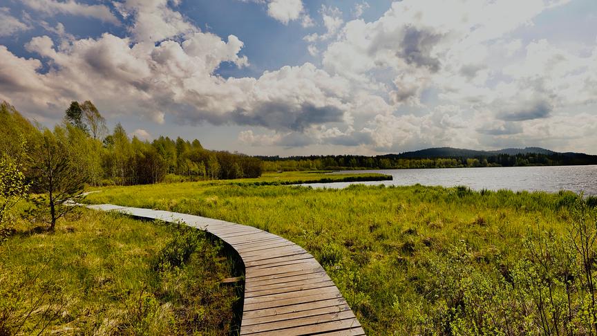 © Plattner Peter Moorlandschaft. (Plattner Peter)