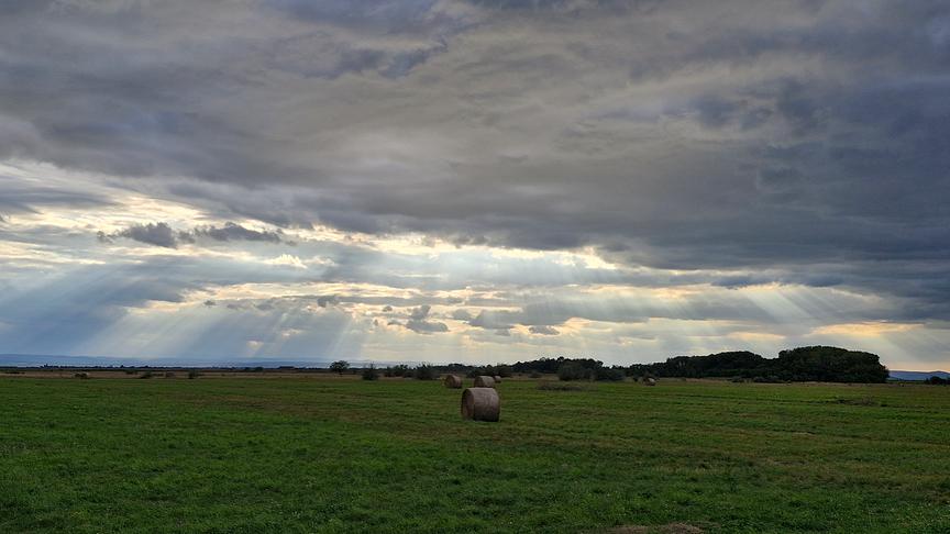 © Susanne Schwinger Wolken über einem abgeernteten Feld (Susanne Schwinger)