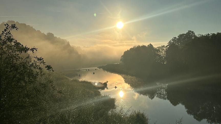Nebelige Morgenlandschaft mit Gewässer, Bäumen und der aufgehenden Sonne.