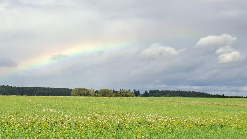 Heute war es am Vormittag ganz trüb und verregnet, dann am Weg von der Arbeit nachhause, reist der Himmel auf und ein toller Regenbogen ist zusehen und am Nachmittag dann super sonnig im Waldviertel!