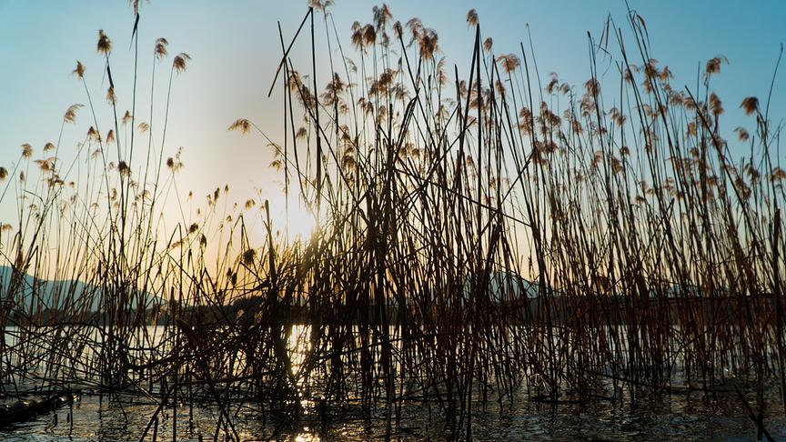 © Richard Mak Sonnenuntergang mit Blick in Richtung Dobratsch, von Egg am Faakersee. (Richard Mak)