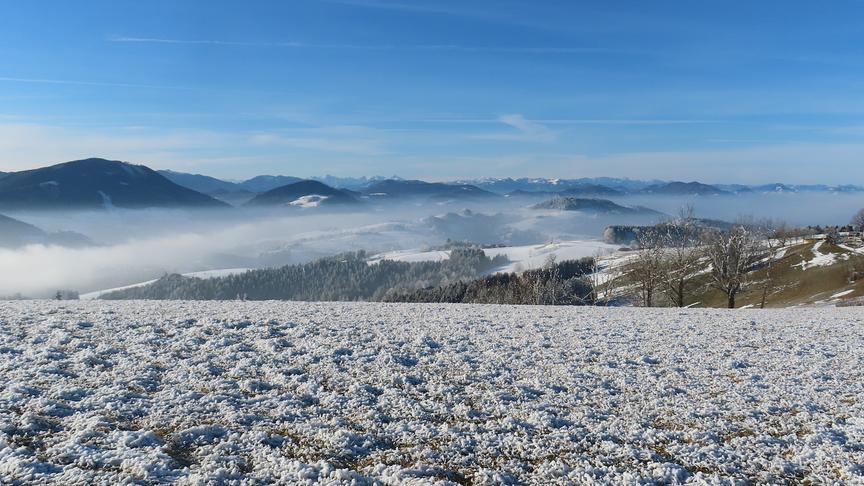 Gefrorene, abfallende Wiese bei der jeder Grashalm von Frost umhüllt zu sein scheint. In Hintergrund sanfte Hügel mit Nebel im Tal.