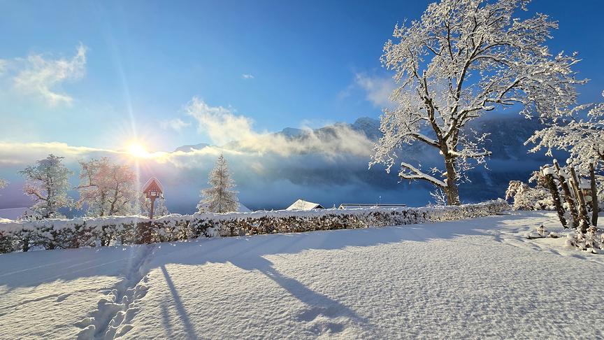 Auf die verschneite Landschaft mit Vogelhäuschen, Hecke und Bäumen scheint die Sonne.