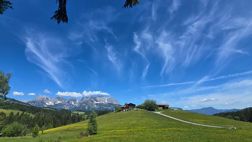 Im Vordergrund ein gelb blühender Hügel mit Häusern, im Hintergrund hohe, felsige Berge unter blauem, leicht bewölktem HImmel.