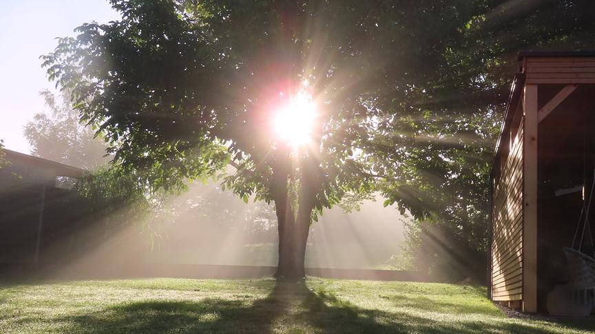 © Rudolf Kößl Bei Gresten kämpft sich die Morgensonne durch den Nebel. (Rudolf Kößl)