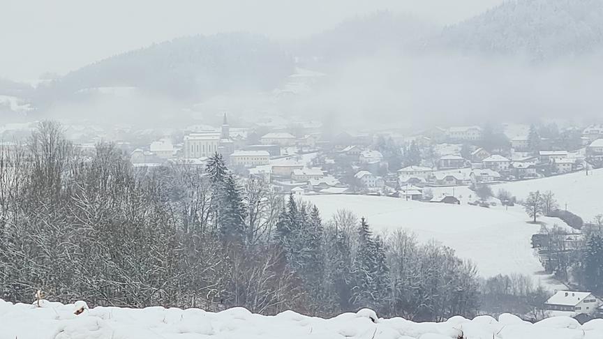 Blick hinab auf schneebedeckte Bäume und ein Dorf.