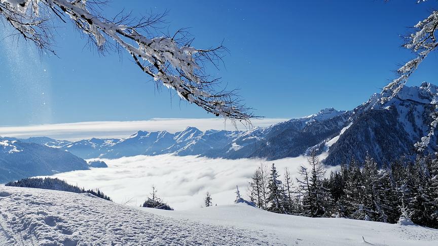 © Gertraud Aigner Blick hinunter in das Großarltal, das unter dem Nebel liegt. (Gertraud Aigner)