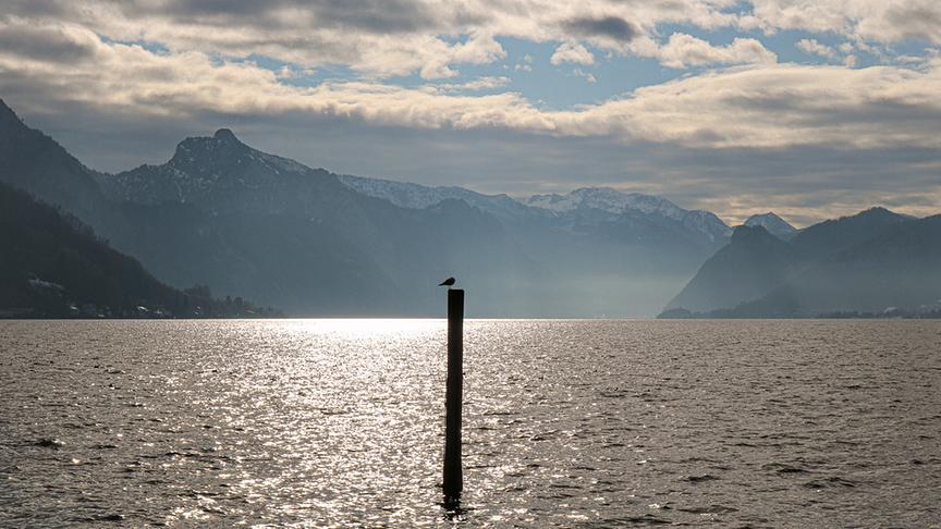 Ein Vogel sitzt auf einem Pfahl in einem See, der dank aufgerissener Wolkendecke von der Sonne erhellt wird.