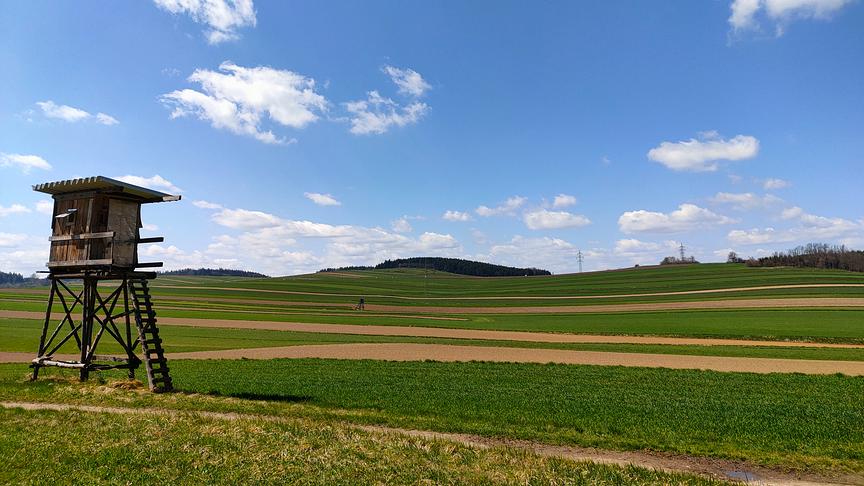 © Gerlad Auer Kulturlandschaft bei Marbach im Felde, Gemeinde Rastenfeld, Bezirk Krems, Waldviertel. (Gerald Auer)