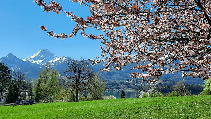 © Karin Striednig Drobollach am Faakersee. (Karin Striednig)