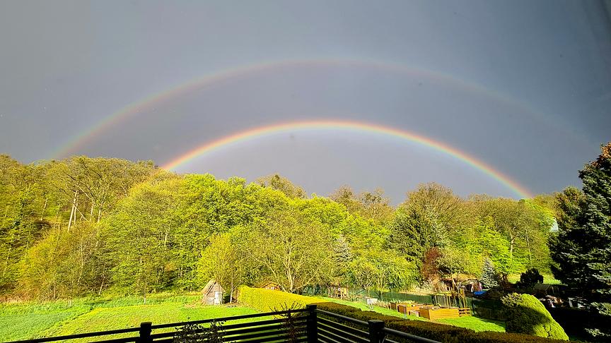 © Gabi Kreutzer Regenbogen im Kreuttal/NÖ. (Gabi Kreutzer)