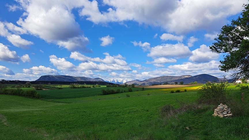 © Julia Gerdenitsch Blick von Aigen auf die grünen Felder, einen blauen Himmel mit Wolken und Blick auf den Schneeberg. (Julia Gerdenitsch)