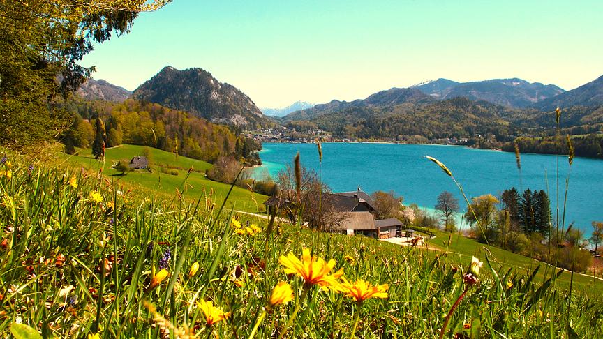 Hang mit Wiese und Blumen läuft hin zu einem türkis-blauen See, im Hintergrund Berge.