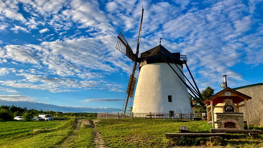 © Martin Grill Windmühle in Retz. (Martin Grill)