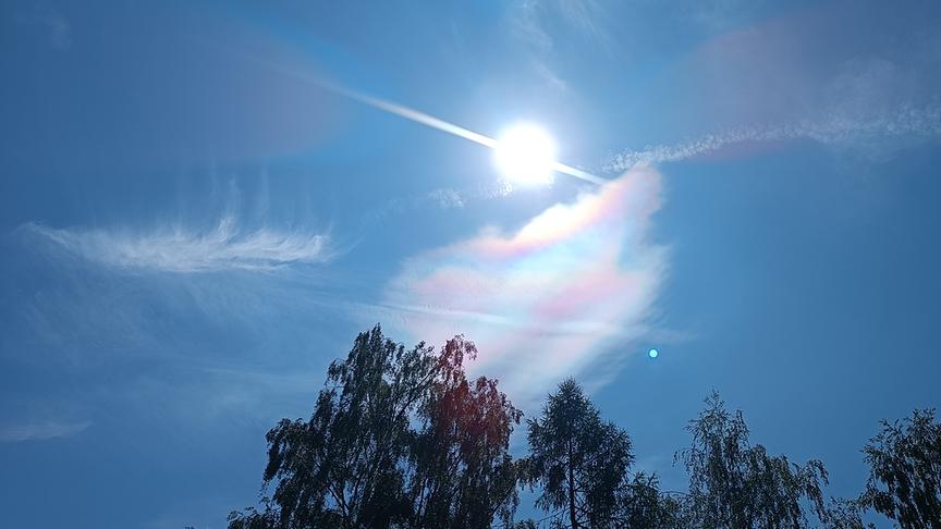 Blauer Himmel an dem die Sonne hoch steht. Eine Wolke flimmert in bunten Regenbogenfarben neben der Sonne. Die Kronen zweier Bäume ragen von unten hinauf ins Bild.
