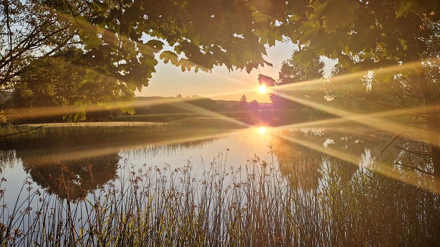 Die Sonne geht über einem Teich unter und spiegelt sich dabei in ihm. Die warm-orangen Sonnenstrahlen zeihen sich sichtbar über das Bild. 